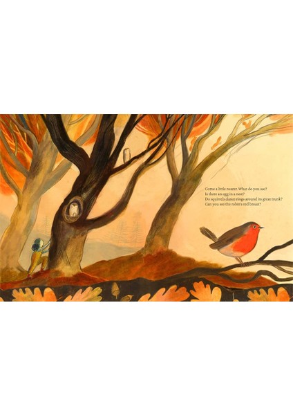 What Do You See When You Look At A Tree?