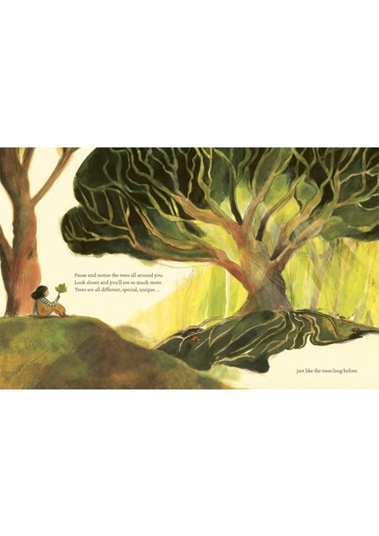 What Do You See When You Look At A Tree?