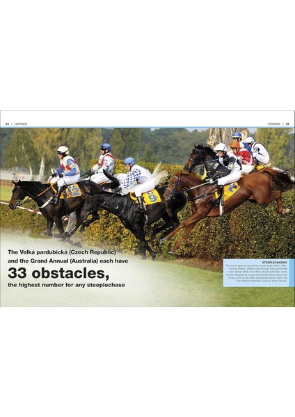 Pocket Eyewitness Horses: Facts At Your Fingertips