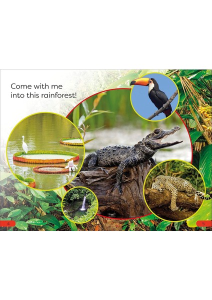 Dk Super Readers Pre-Level Into The Rainforest