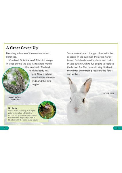 Dk Super Readers Level 3 Animal Defences