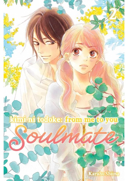 Kimi Ni Todoke: From Me To You: Soulmate, Vol. 2: Volume 2