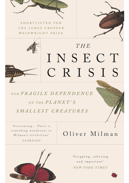 The Insect Crisis: Our Fragile Dependence On The Planet's Smallest Creatures