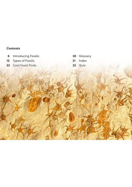 Dk Super Readers Level 3 Fossils