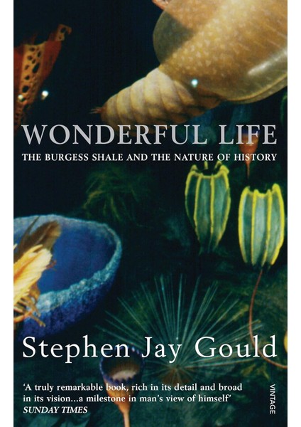 Wonderful Life