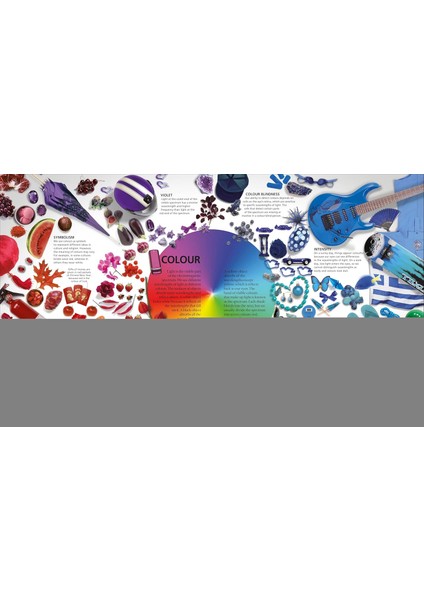 Wow!: The Visual Encyclopedia Of Everything