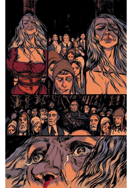 The Witcher Volume 6: Witch's Lament