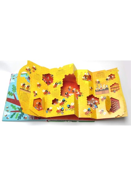 Pop Inside: Animal Homes modelleri