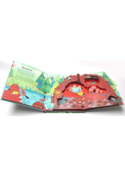 Pop Inside: Animal Homes fırsatları