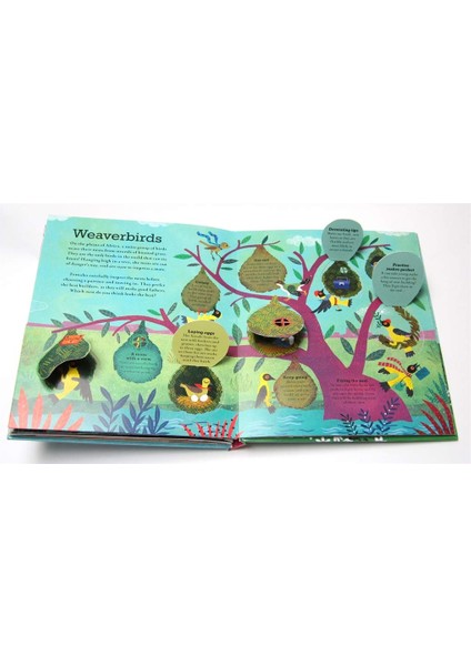 Pop Inside: Animal Homes indirimleri
