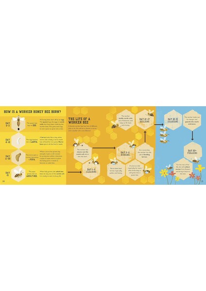 The Bee Book