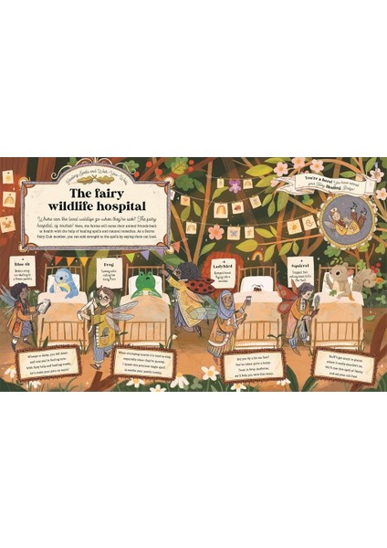 Secret Fairy Club: Discover A Hidden Book Within A Book!