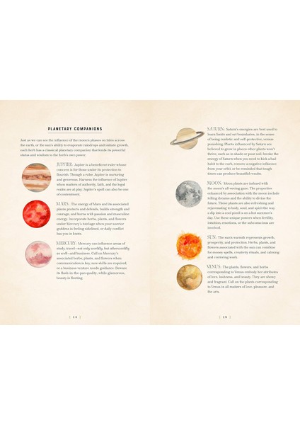 Herbal Magic: A Handbook Of Natural Spells, Charms, And Potions: Volume 7