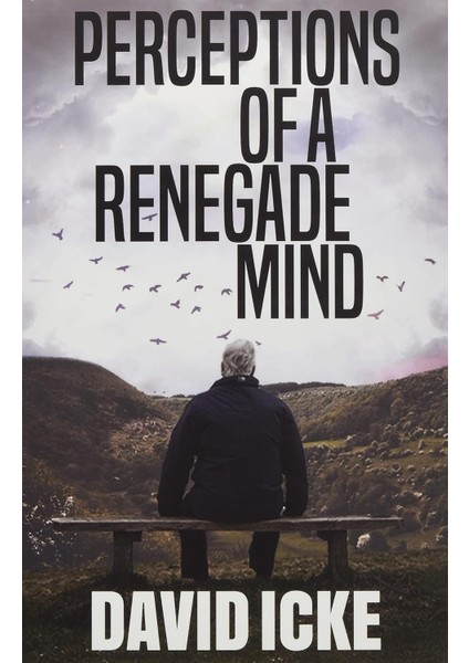 Perceptions Of A Renegade Mind