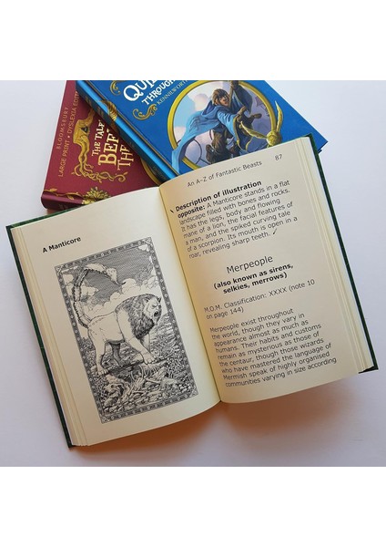 Fantastic Beasts And Where To Find Them: Large Print Dyslexia Edition