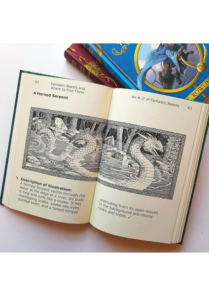 Fantastic Beasts And Where To Find Them: Large Print Dyslexia Edition