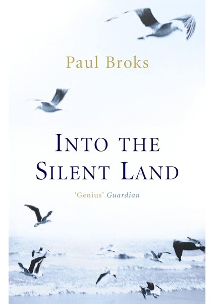 Into The Silent Land