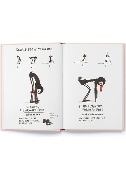 Yoga For Stiff Birds: An Illustrated Approach To Positions, Poses, And Meditations