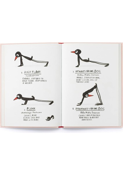 Yoga For Stiff Birds: An Illustrated Approach To Positions, Poses, And Meditations