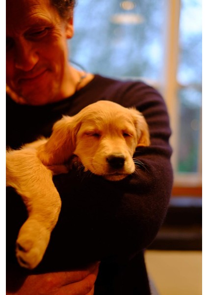 Nigel: My Family And Other Dogs fırsatları