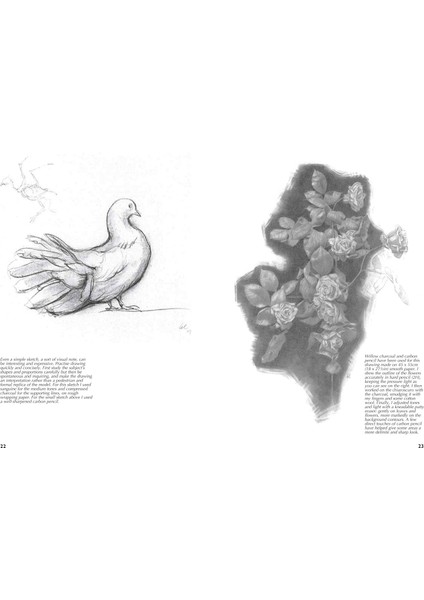 Drawing - A Complete Guide: Nature