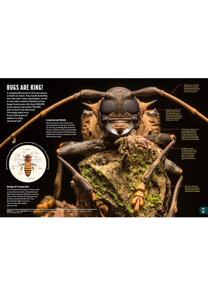 Britannica All New Children's Encyclopedia: What We Know & What We Don't