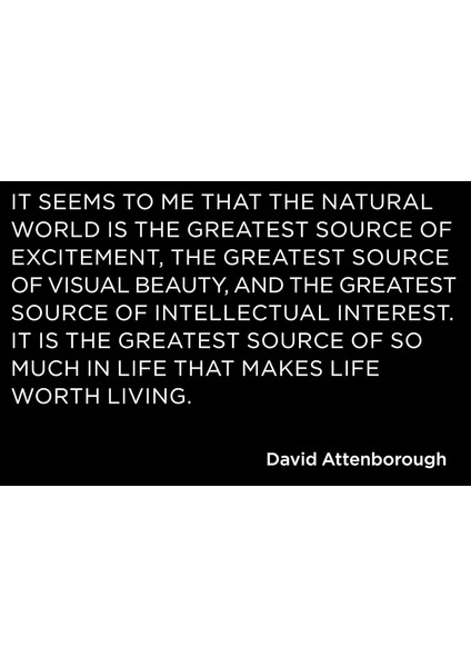 Our Planet: The Official Companion To The Ground-Breaking Netflix Original Attenborough Series With