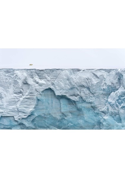 Our Planet: The Official Companion To The Ground-Breaking Netflix Original Attenborough Series With