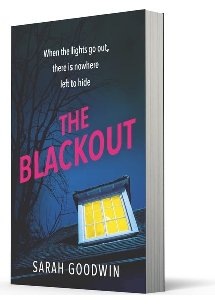 The Blackout: 4 modelleri