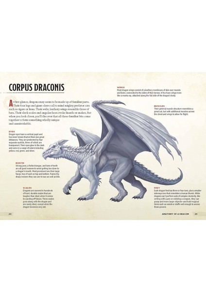 Dragons & Treasures (Dungeons & Dragons): A Young Adventurer's Guide