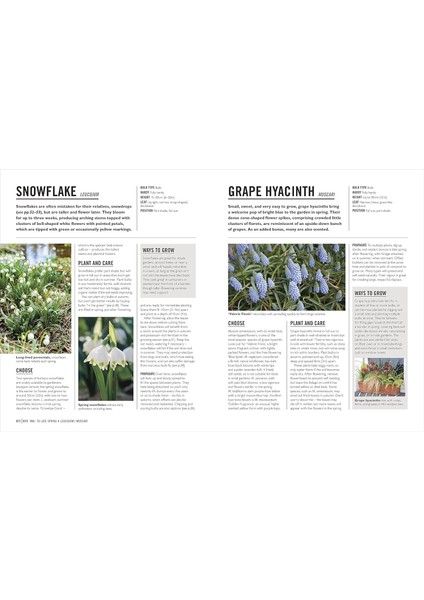 Grow Bulbs: Essential Know-How And Expert Advice For Gardening Success fırsatları
