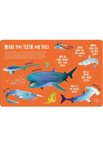 Magic Searchlight - Sharks