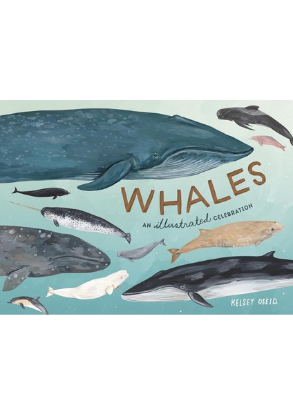 Whales: An Illustrated Celebration