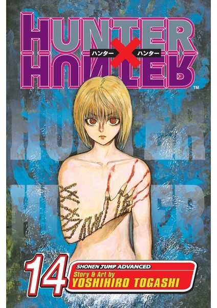 Hunter x Hunter, Vol. 14: Volume 14
