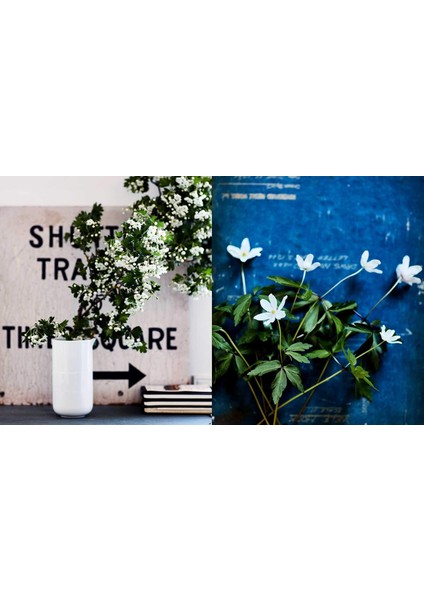Inspired By Nature: Creating A Personal And Natural Interior fırsatları