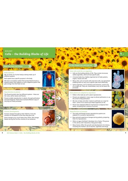 Student Book 1