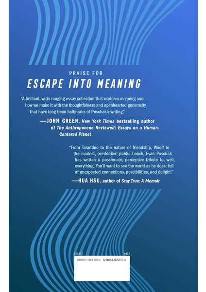 Escape Into Meaning: Essays On Superman, Public Benches, And Other Obsessions