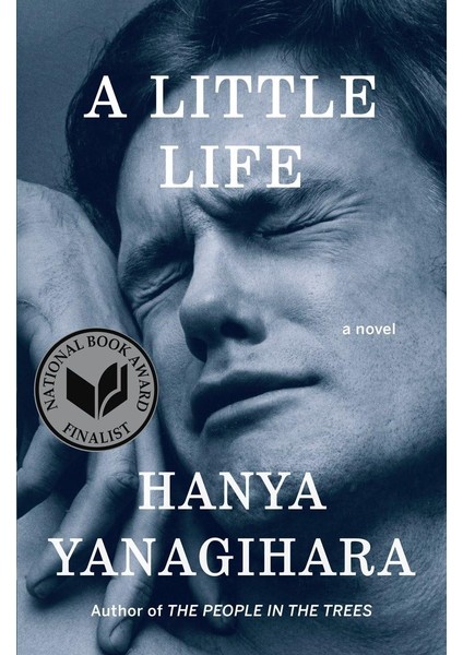 A Little Life: A Novel