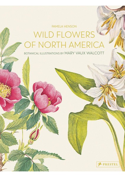Wild Flowers Of North America: Botanical Illustrations By Mary Vaux Walcott