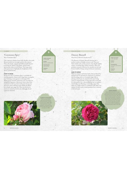 The Kew Gardener's Guide To Growing Roses: The Art And Science To Grow With Confidence: Volume 8 fırsatları