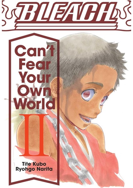 Bleach: Can't Fear Your Own World, Vol. 2: Volume 2
