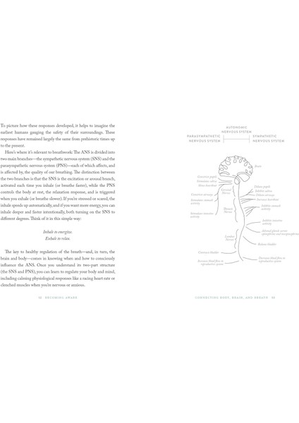 The Breathwork Companion: Unlock The Healing Power Of Breathing modelleri