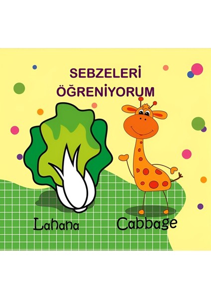 Sebzeler Hikaye Kitabım