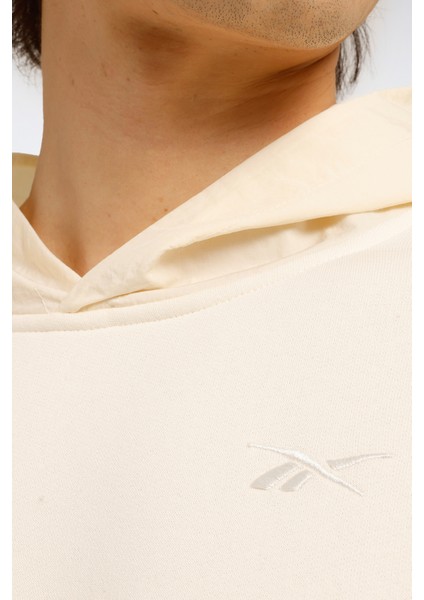 Arın Hoodıe Bej Erkek Sweatshirt fırsatları