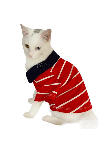 Red Stripe Elegance Polo Yaka Tişört Kedi Kıyafeti Kedi Elbisesi modelleri