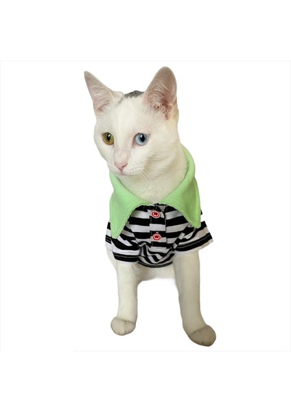 Grass Hopper Stripe Polo Yaka Tişört Kedi Kıyafeti Kedi Elbisesi fiyatları