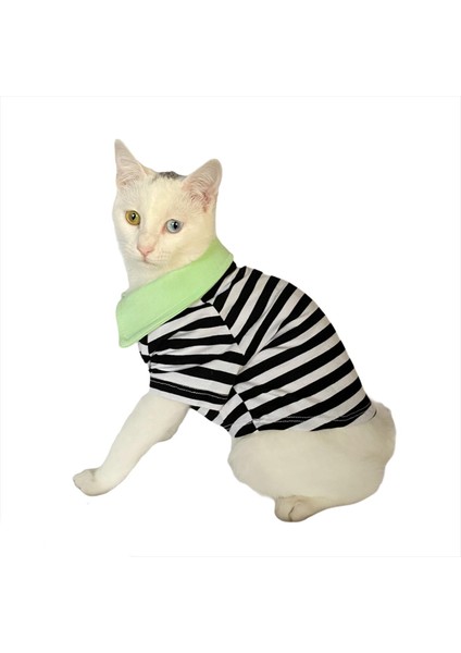 Grass Hopper Stripe Polo Yaka Tişört Kedi Kıyafeti Kedi Elbisesi modelleri
