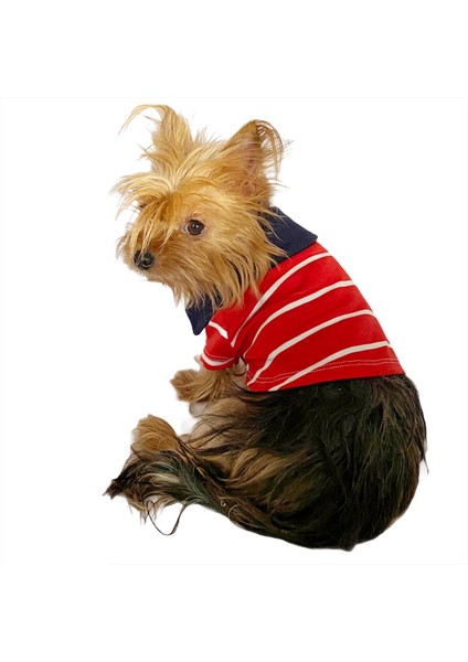 Red Stripe Elegance Polo Yaka Tişört Köpek Kıyafeti Köpek Elbisesi indirimleri