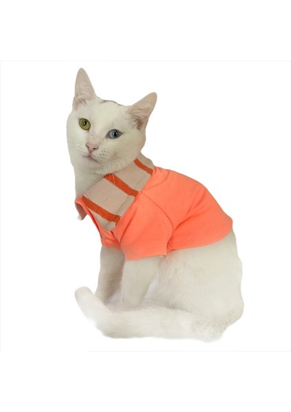 Salmon Flash Polo Yaka Tişört Kedi Kıyafeti Kedi Elbisesi