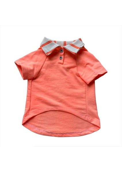 Salmon Flash Polo Yaka Tişört Kedi Kıyafeti Kedi Elbisesi modelleri